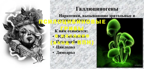гидра Алексеевка