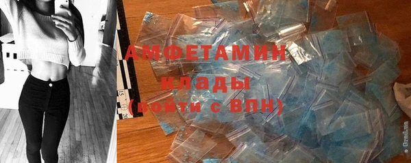 дурь Алексин