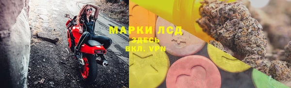 гидра Алексеевка